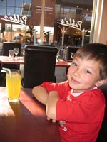 gulbrus gulbrus