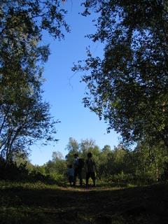 Klungsetmarka