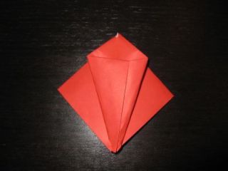 IMG_1600_11 IMG_1600_11