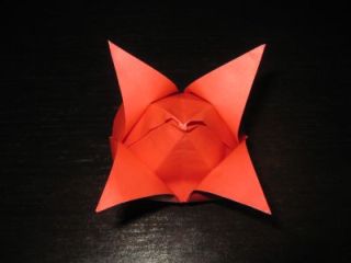 IMG_1609_16 IMG_1609_16
