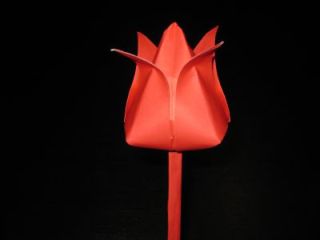 IMG_1614_18 IMG_1614_18